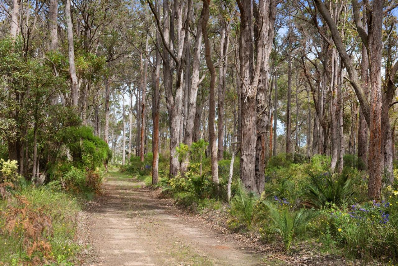 Redgate Forest Retreat Witchcliffe Екстериор снимка